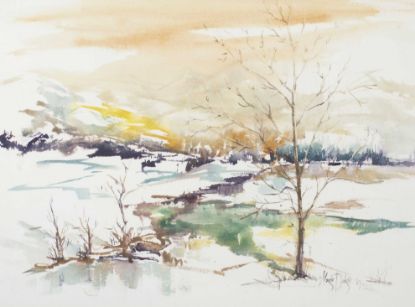 Picture of “Winter Carpet"